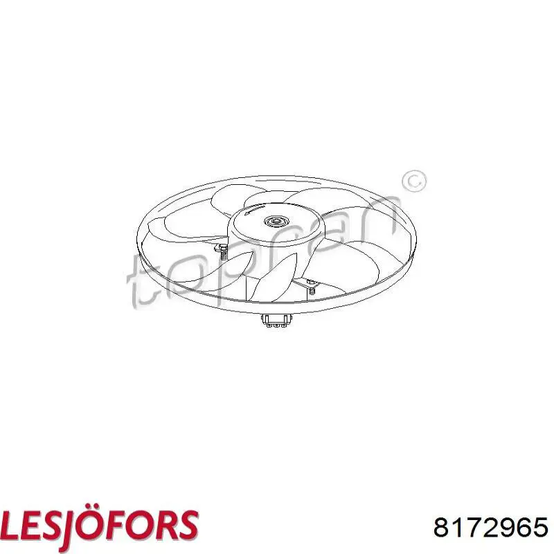 Амортизатор двері задньої Lesjofors 8172965 ціна, від 10.81 USD