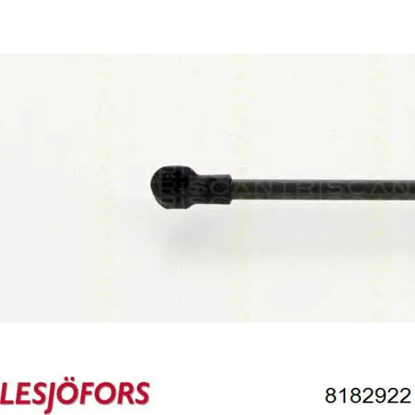 Амортизатор двері задньої Lesjofors 8182922 ціна, від 9.33 USD