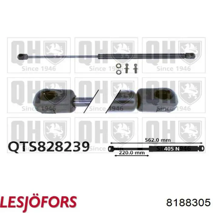 8188305 Lesjofors Амортизатор кришки багажника / двері 3/5-ї задньої