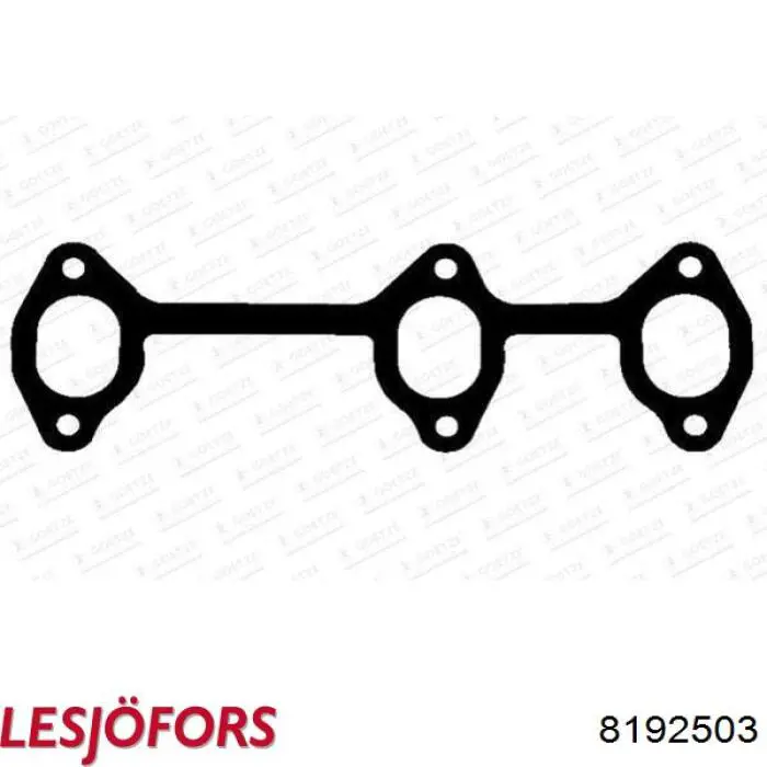 Амортизатор двері задньої Lesjofors 8192503 ціна, від 11.41 USD