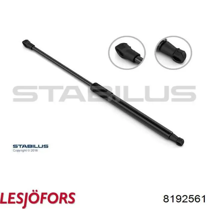 Амортизатор двері задньої Lesjofors 8192561 ціна, від 10.24 USD
