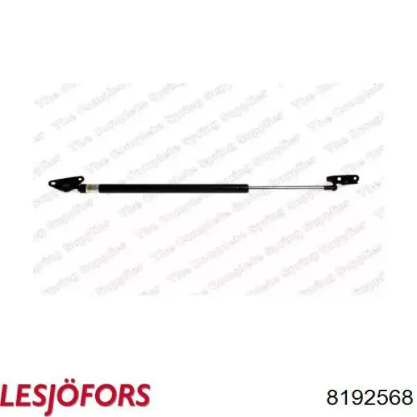 Купити 8192568 Lesjofors Амортизатор двері багажника