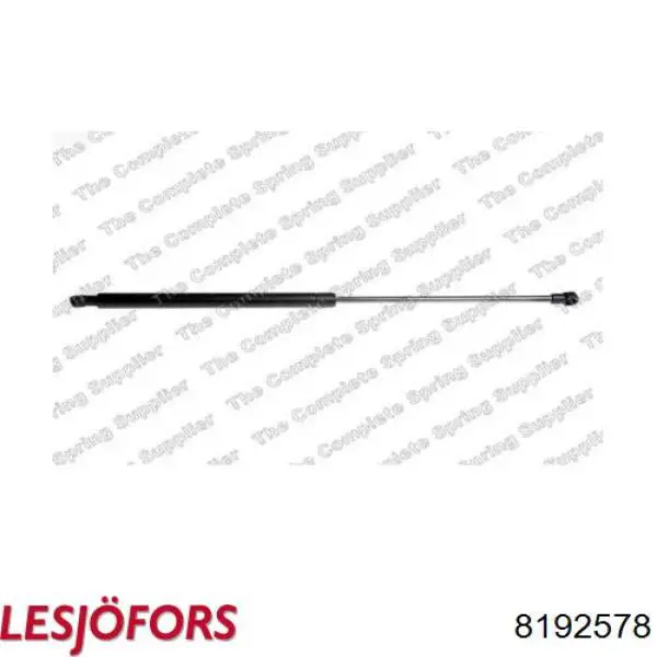 Амортизатор двері задньої Lesjofors 8192578 ціна, від 16.78 USD