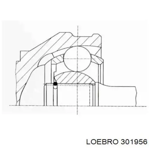 ШРУС зовнішній передній 301956 Loebro