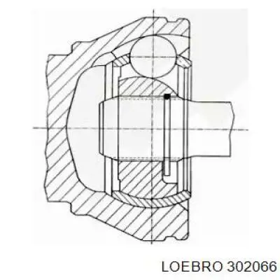 ШРУС зовнішній передній 302066 Loebro