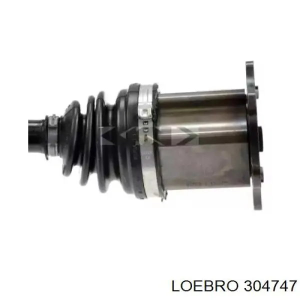  304747 Loebro