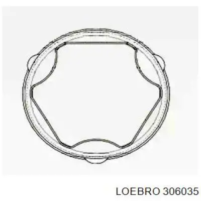  306035 Loebro