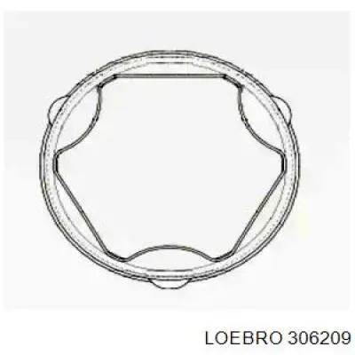  306209 Loebro