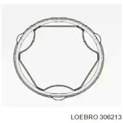  306213 Loebro