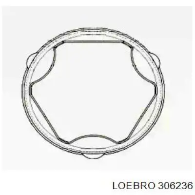  306236 Loebro