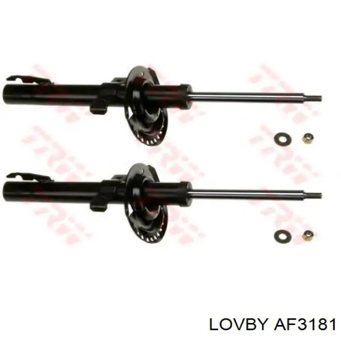 Купити 8660005853 Renault (RVI) Амортизатор передньої підвіски