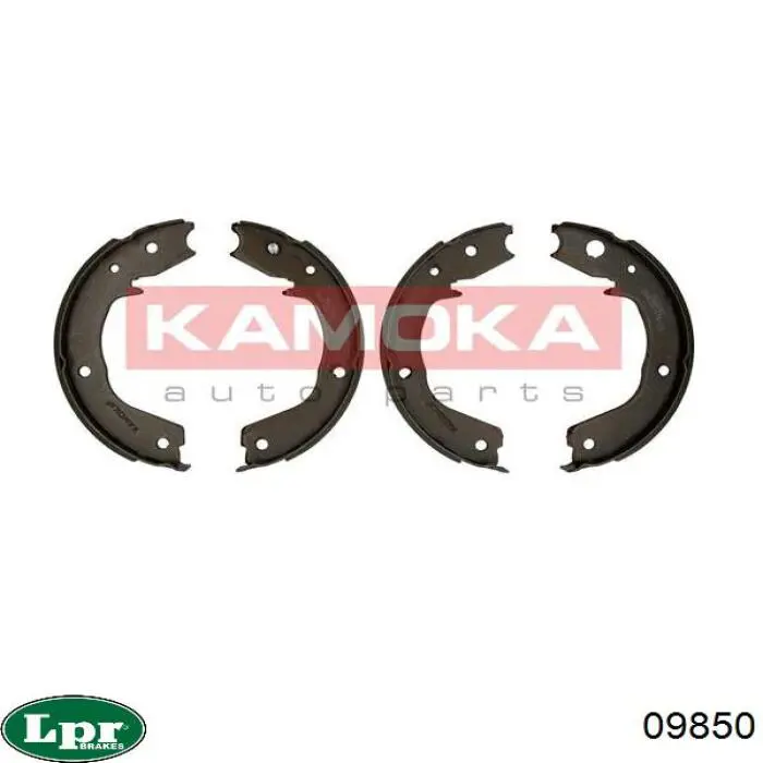 Колодки стоянкового гальма LPR 09850