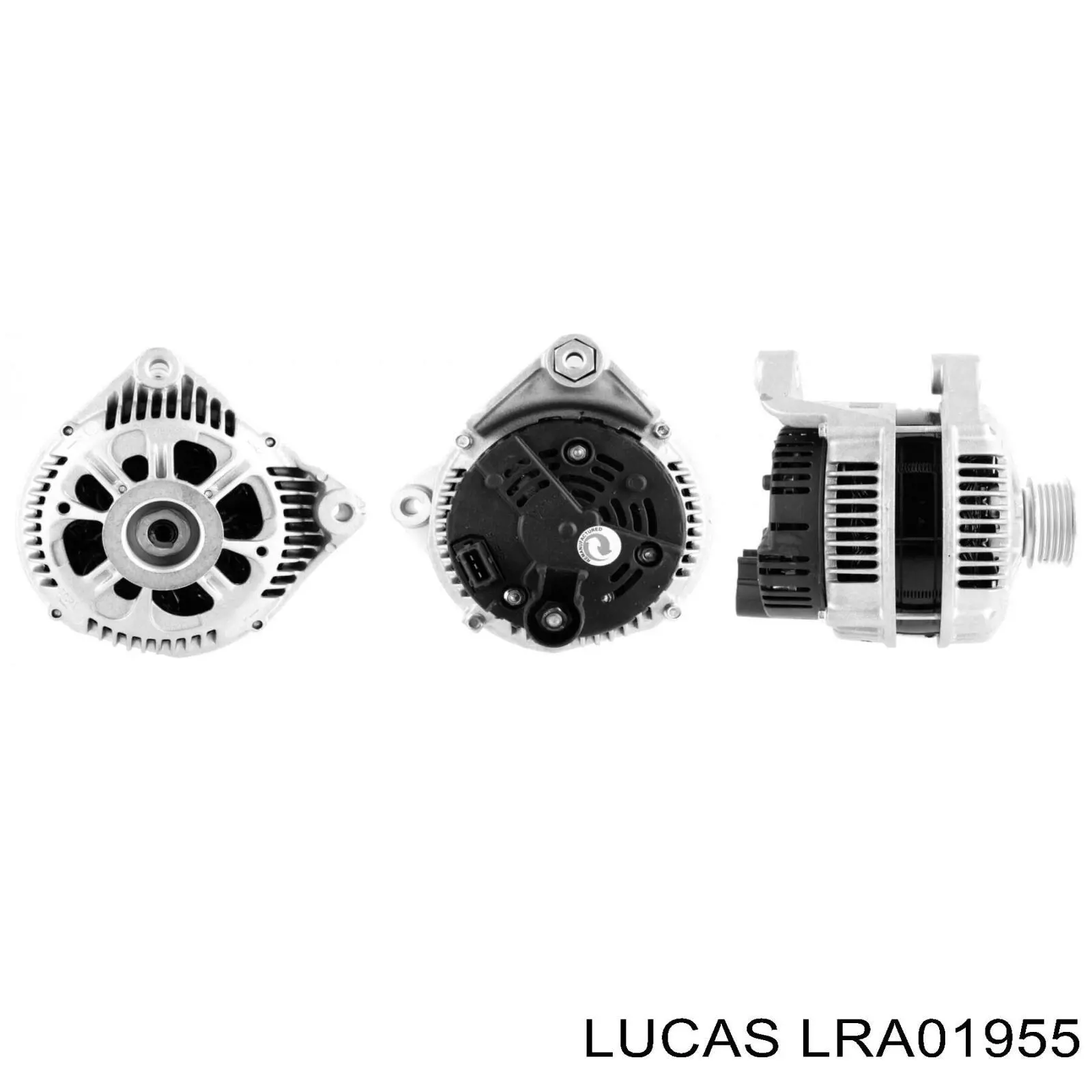 LRA01955 Lucas генератор