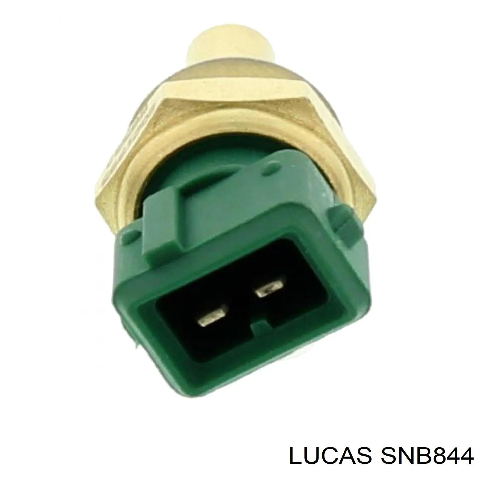 Датчик температури охолоджуючої рідини SNB844 Lucas