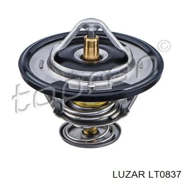 Купити LT0837 Luzar Термостат в корпусі