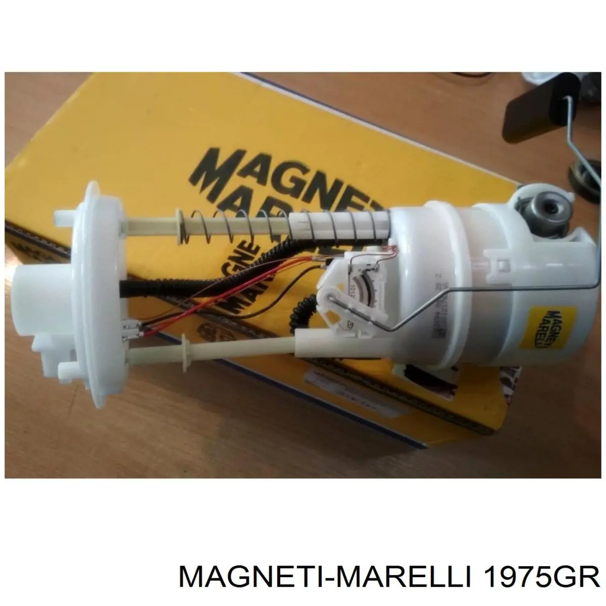 1975GR Magneti Marelli Амортизатор передньої підвіски