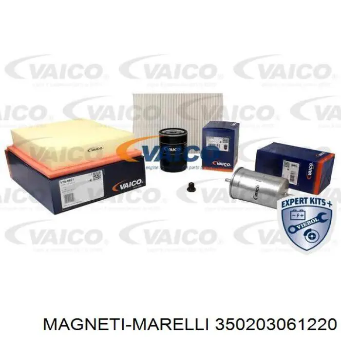 Купити 350203061220 Magneti Marelli Фільтр салону вугільний