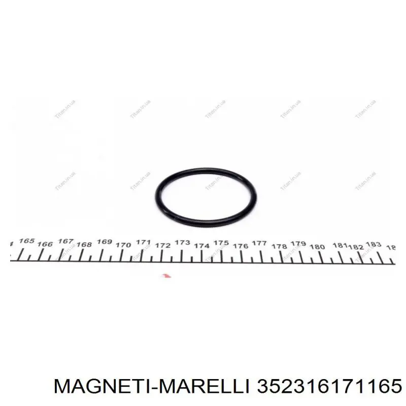 Купити 352316171165 Magneti Marelli Насос охолоджуючої рідини