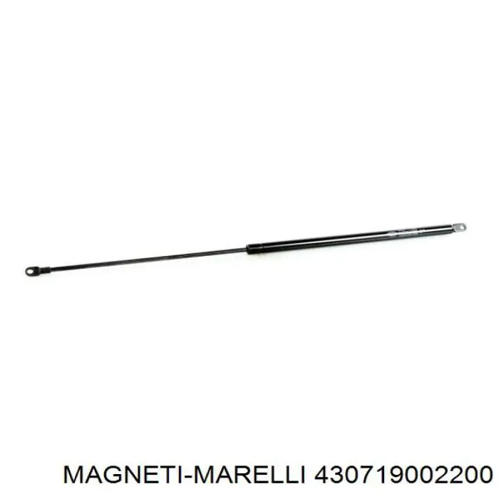 Амортизатор двері задньої Magneti Marelli 430719002200 ціна, від 4.21 USD