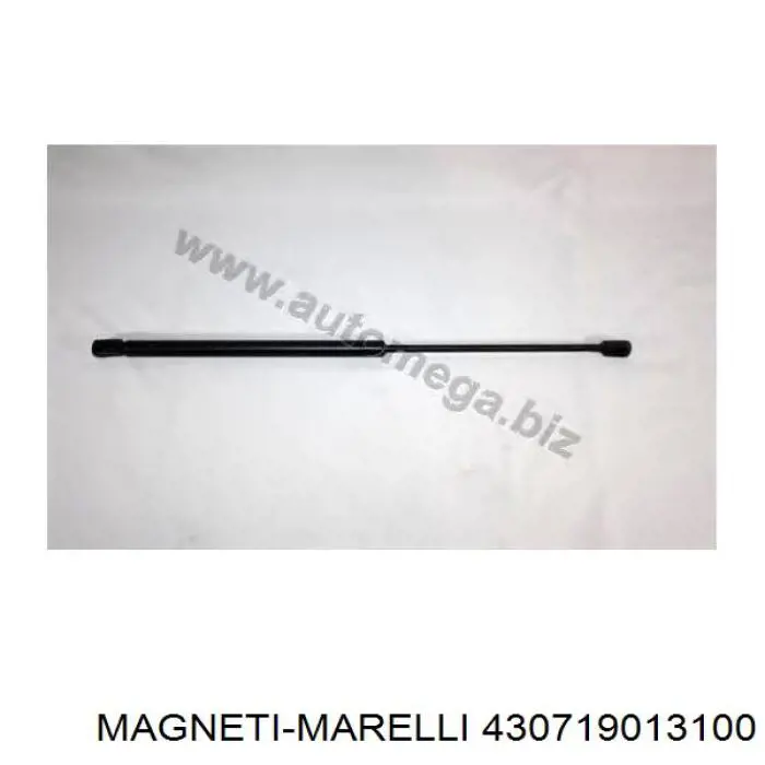 Амортизатор багажника 430719013100 Magneti Marelli