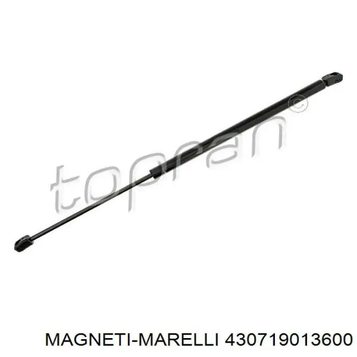 430719013600 Magneti Marelli амортизатор кришки багажника/ двері 3/5-ї задньої