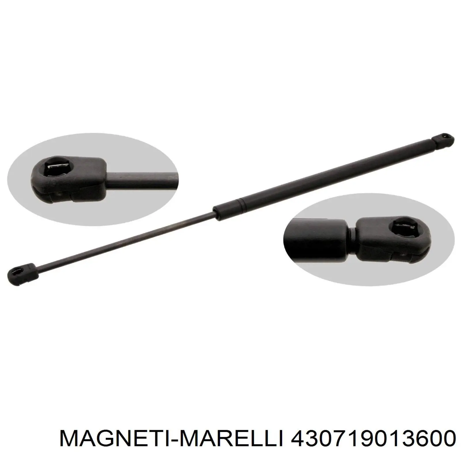 430719013600 Magneti Marelli Амортизатор кришки багажника / двері 3/5-ї задньої