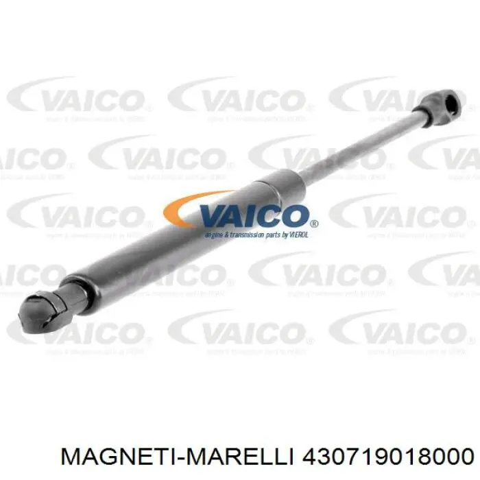 Амортизатор кришки багажника Renault (RVI) 7700838612