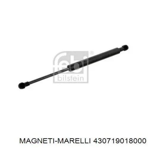 Амортизатор двері задньої Magneti Marelli 430719018000 ціна, від 4.02 USD