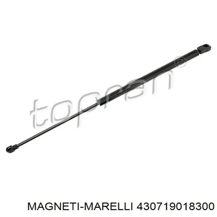 Купити 430719018300 Magneti Marelli Амортизатор двері багажника