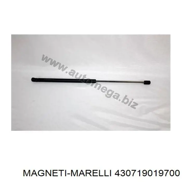 430719019700 Magneti Marelli Амортизатор кришки багажника / двері 3/5-ї задньої