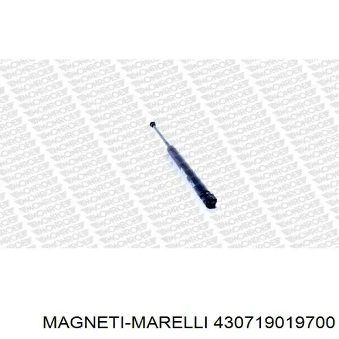 Амортизатор двері задньої Magneti Marelli 430719019700 ціна, від 10.01 USD