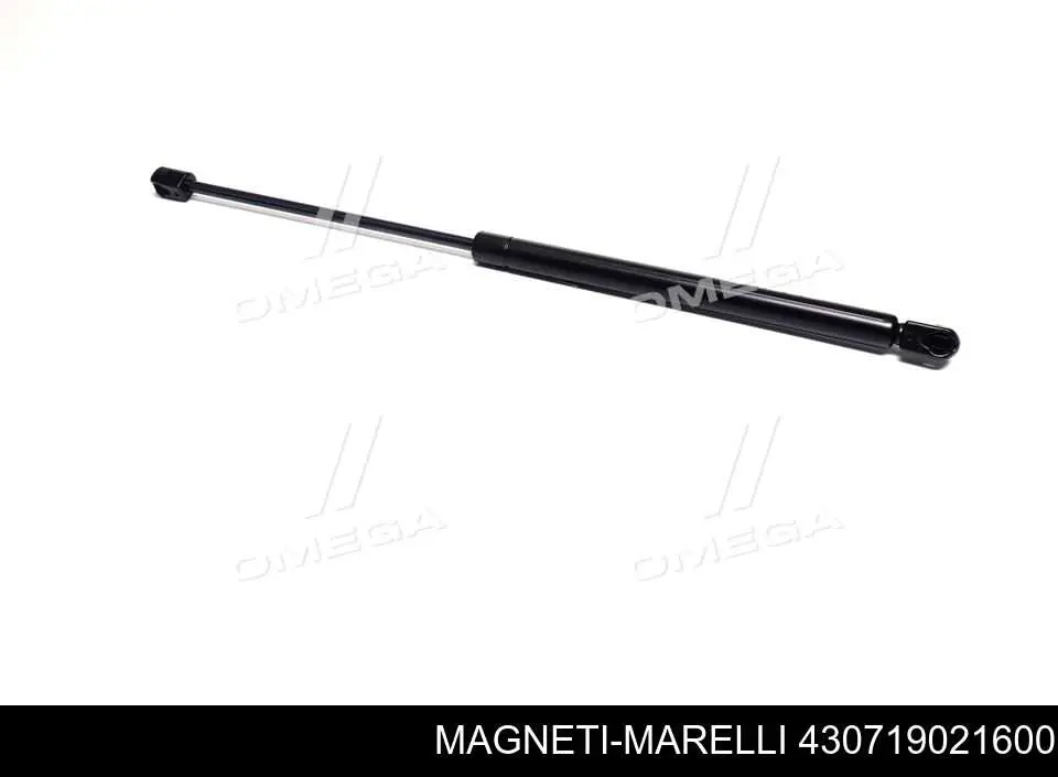 Амортизатор двері задньої Magneti Marelli 430719021600 ціна, від 9.31 USD