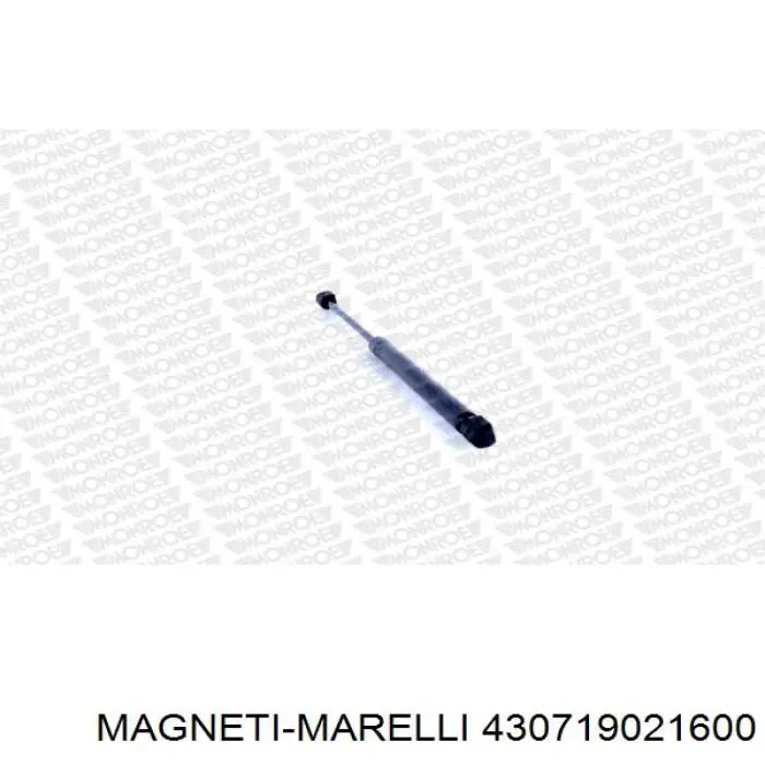 Купити 430719021600 Magneti Marelli Амортизатор двері багажника