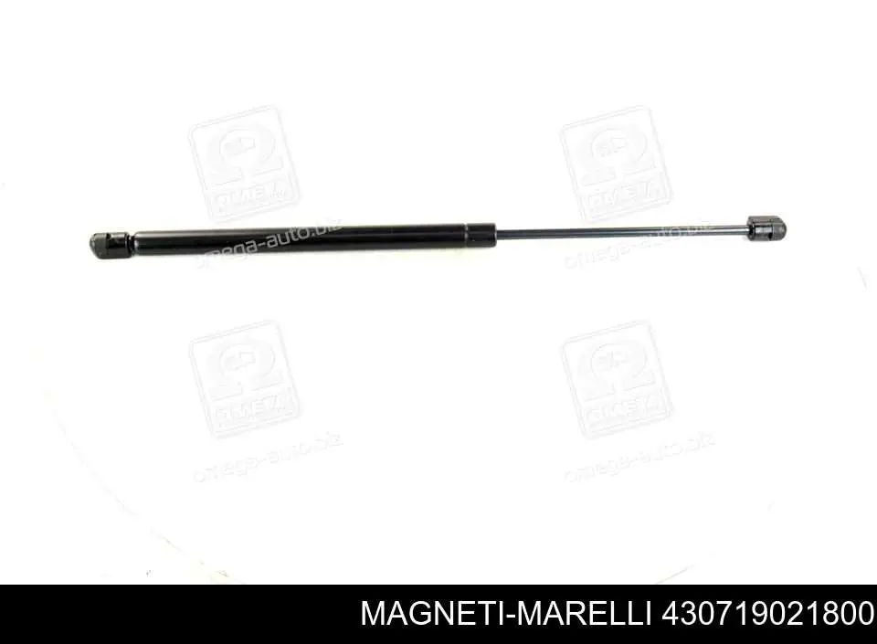 430719021800 Magneti Marelli Амортизатор кришки багажника / двері 3/5-ї задньої