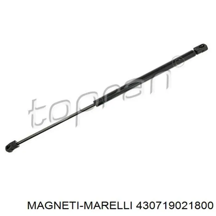 Амортизатор багажника 430719021800 Magneti Marelli