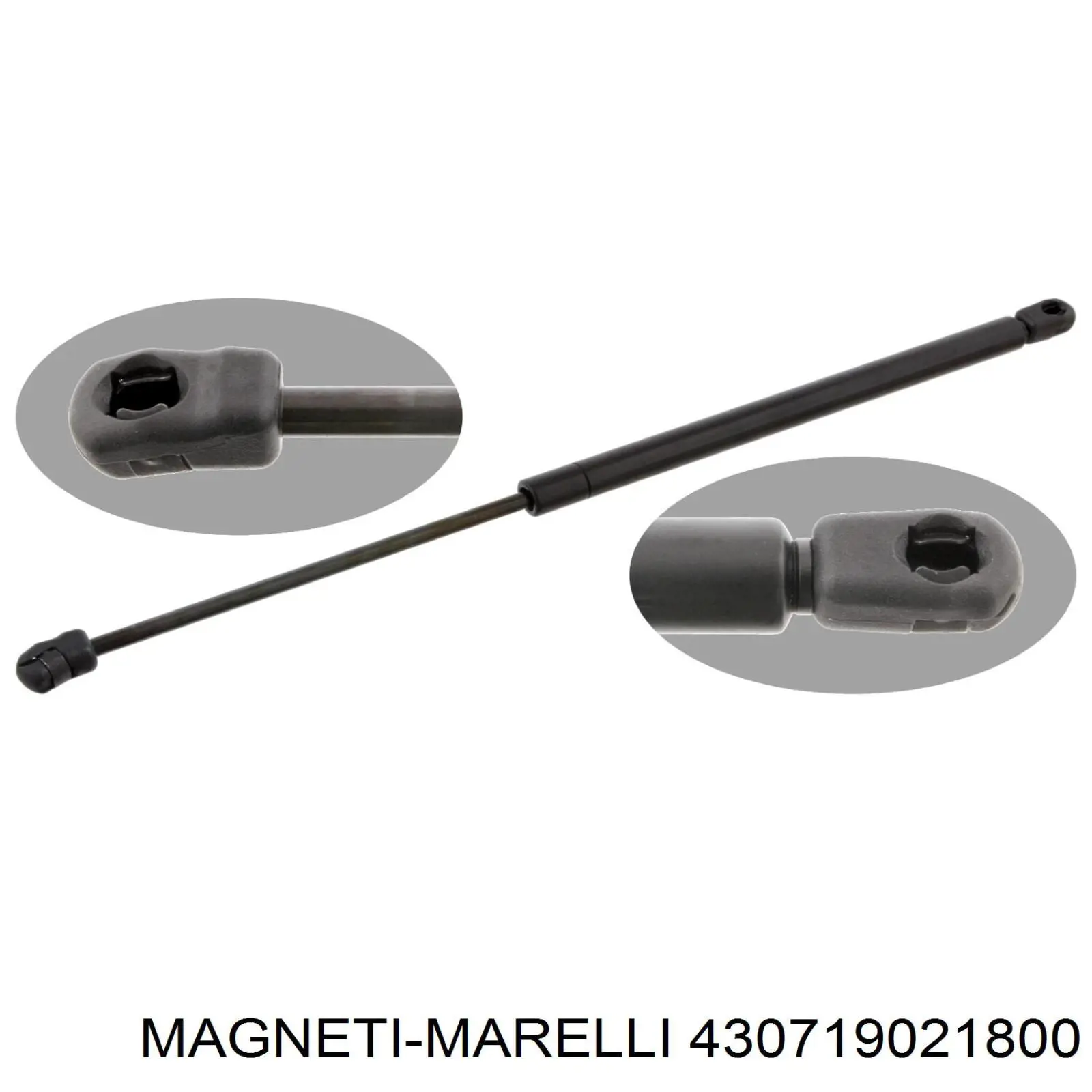 Купити 430719021800 Magneti Marelli Амортизатор двері багажника