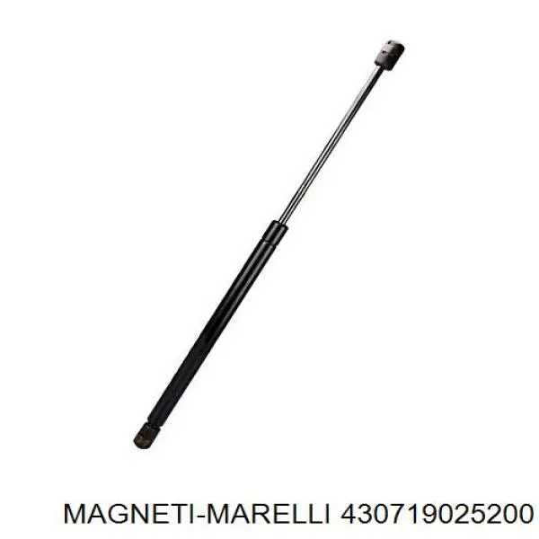 Амортизатор двері задньої Magneti Marelli 430719025200 ціна, від 10.04 USD