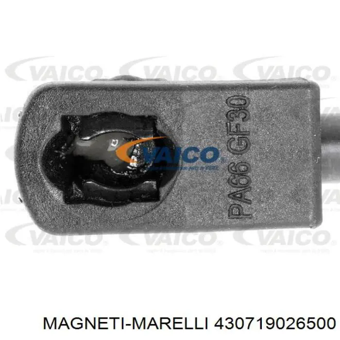 Купити 430719026500 Magneti Marelli Амортизатор під капот
