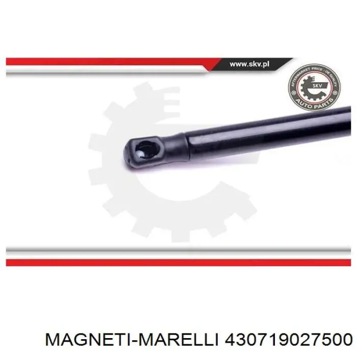 Амортизатор капота газовий Magneti Marelli 430719027500 ціна, від 7.10 USD