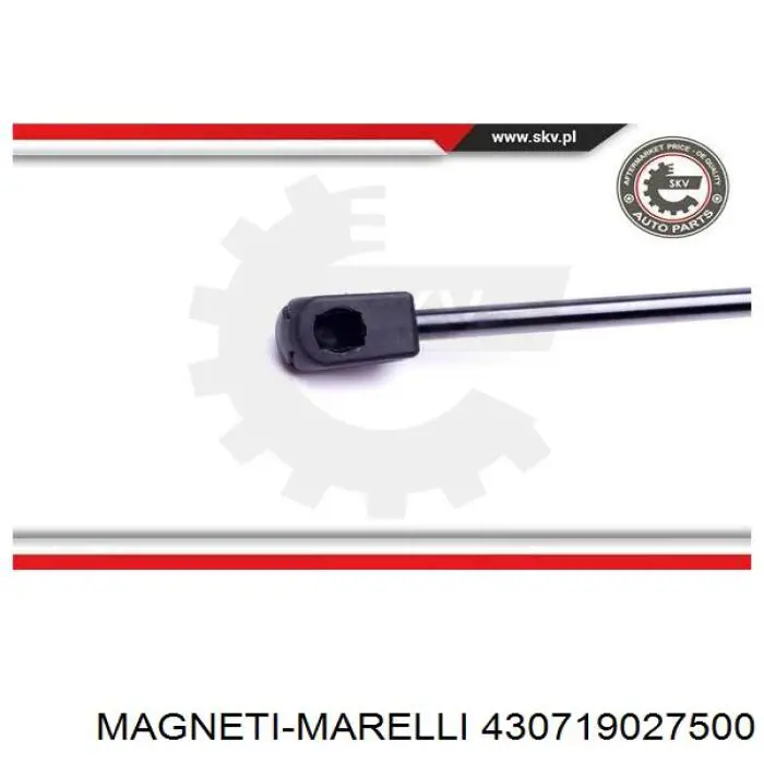 430719027500 Magneti Marelli Стійка капота