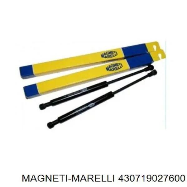 Амортизатор двері задньої Magneti Marelli 430719027600 ціна, від 15.69 USD