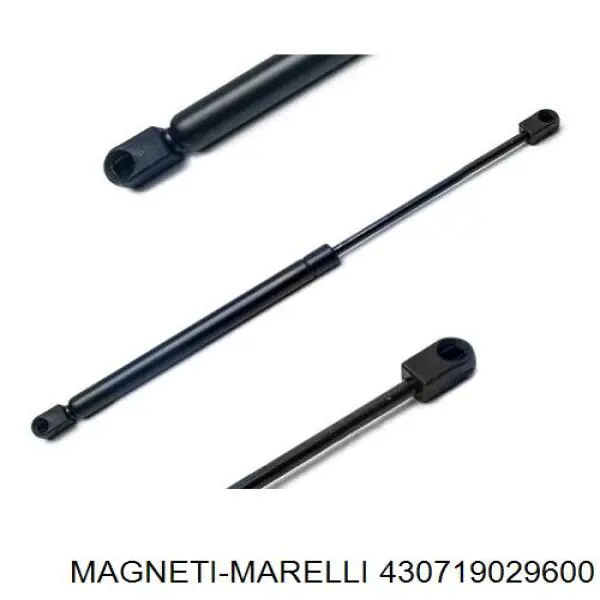  430719029600 Magneti Marelli