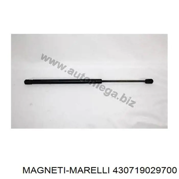 430719029700 Magneti Marelli амортизатор кришки багажника/ двері 3/5-ї задньої