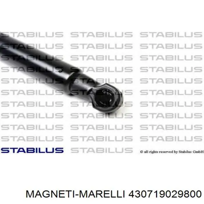 Амортизатор двері задньої Magneti Marelli GS0106 ціна, від 8.03 USD