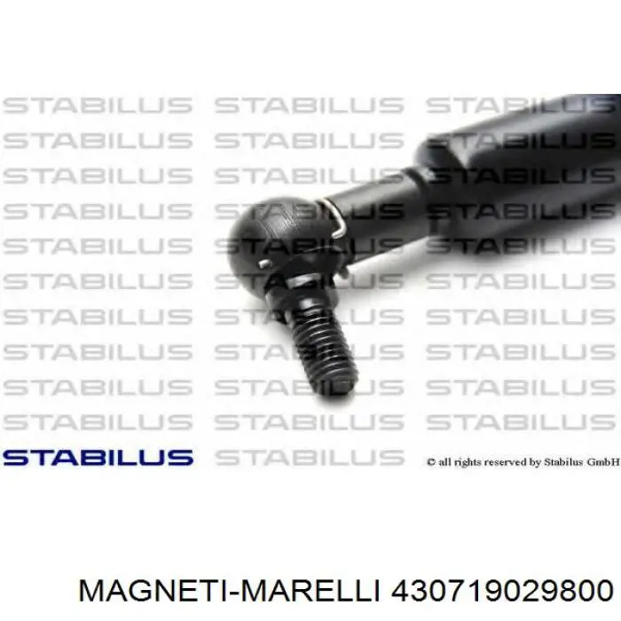 Амортизатор двері задньої Magneti Marelli 430719029800 ціна, від 8.56 USD