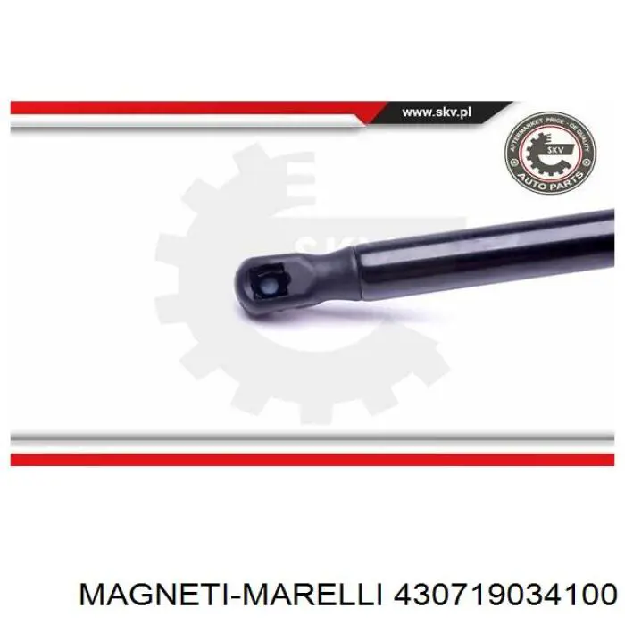 Амортизатор капота газовий Magneti Marelli 430719034100 ціна, від 10.15 USD