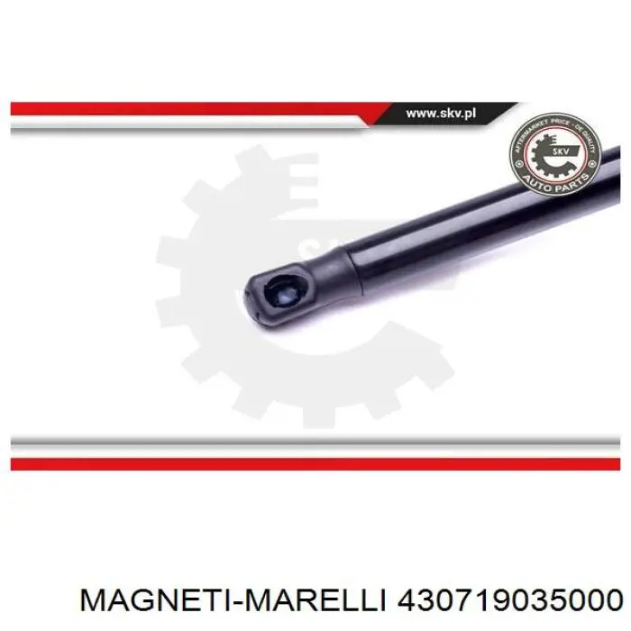 430719035000 Magneti Marelli Амортизатор кришки багажника / двері 3/5-ї задньої