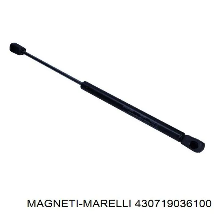 430719036100 Magneti Marelli Амортизатор кришки багажника / двері 3/5-ї задньої
