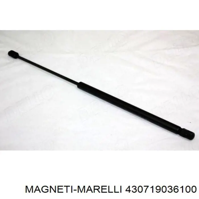 Амортизатор багажника 430719036100 Magneti Marelli