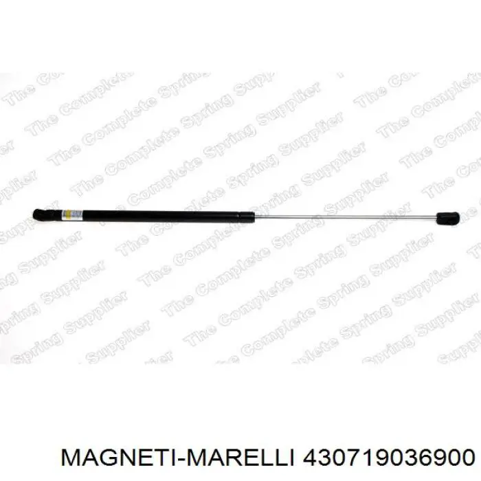 Купити 430719036900 Magneti Marelli Амортизатор двері багажника